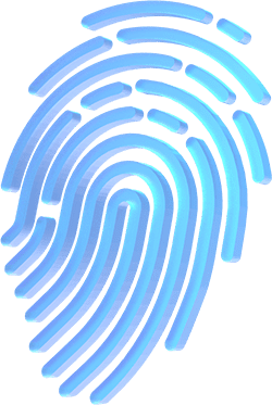 Fingerprint authentication
